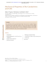 Mechanical Properties of the Cytoskeleton and Cells