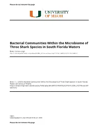 Bacterial Communities Within the Microbiome of Three Shark Species in South Florida Waters