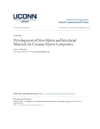 Development of New Matrix and Interfacial Materials for Ceramic Matrix Composites Gavin C