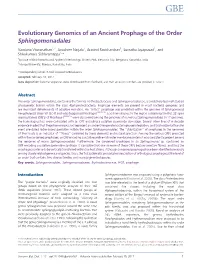 Evolutionary Genomics of an Ancient Prophage of the Order Sphingomonadales