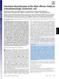 Functional Diversification of the Nleg Effector Family in Enterohemorrhagic Escherichia Coli