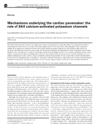 Mechanisms Underlying the Cardiac Pacemaker: the Role of SK4 Calcium-Activated Potassium Channels