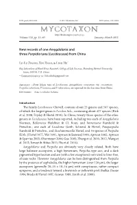 New Records of One &lt;I&gt;Amygdalaria&lt;/I&gt; and Three &lt;I