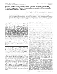 Nuclear Factor- B-Inducible Death Effector Domain-Containing Protein