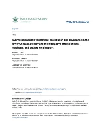 Submerged Aquatic Vegetation : Distribution and Abundance in the Lower Chesapeake Bay and the Interactive Effects of Light, Epiphytes, and Grazers Final Report