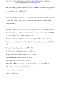 The Genetic Legacy of Zoroastrianism in Iran and India: Insights Into Population