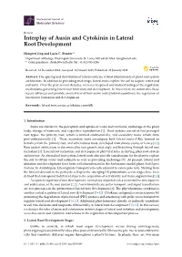 Interplay of Auxin and Cytokinin in Lateral Root Development