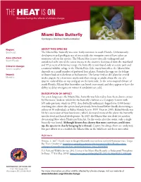 Miami Blue Butterflies Can Breed Year-Round, and They Appear to Have the Ability to Delay Emergence in Winter If Conditions Are Cold