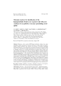 Molecular Markers for Identification of the Hyperparasitoids Dendrocerus