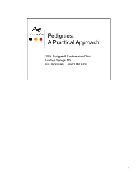 Pedigrees: a Practical Approach