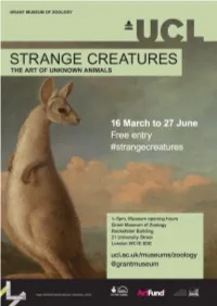The Art of Unknown Animals Visitor Activities Evaluation Report
