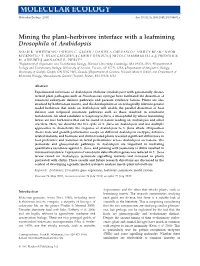 Mining the Plantherbivore Interface with a Leafmining Drosophila Of