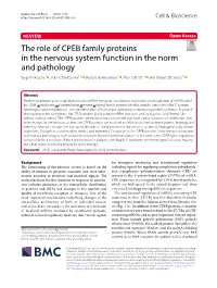 The Role of CPEB Family Proteins in the Nervous System Function in the Norm and Pathology Eugene Kozlov1 , Yulii V