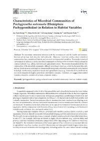 Characteristics of Microbial Communities of Pachygrontha Antennata (Hemiptera: Pachygronthidae) in Relation to Habitat Variables