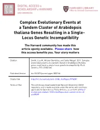 Complex Evolutionary Events at a Tandem Cluster of Arabidopsis Thaliana Genes Resulting in a Single- Locus Genetic Incompatibility