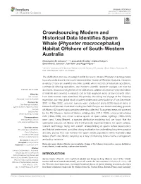 Crowdsourcing Modern and Historical Data Identifies Sperm Whale