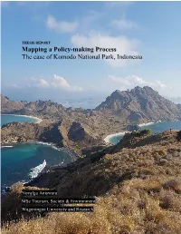 Mapping a Policy-Making Process the Case of Komodo National Park, Indonesia