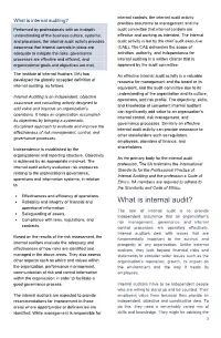 What Is Internal Audit? Operational Information