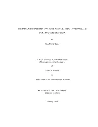 The Population Dynamics of Tansy Ragwort (Senecio Jacobaea) In