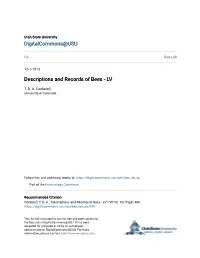 Descriptions and Records of Bees - LV