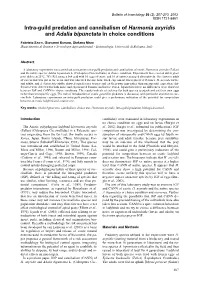 Intra-Guild Predation and Cannibalism of Harmonia Axyridis and Adalia Bipunctata in Choice Conditions