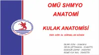 KULAK ANATOMİSİ.Pdf