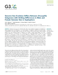 Genome Size Evolution Differs Between Drosophila Subgenera with Striking Differences in Male and Female Genome Size in Sophophora