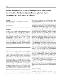 Resting Metabolic Rate, Critical Swimming Speed, and Routine Activity of the Euryhaline Cyprinodontid, Aphanius Dispar, Acclimated to a Wide Range of Salinities