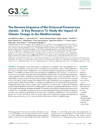 The Genome Sequence of the Octocoral Paramuricea Clavata – a Key Resource to Study the Impact of Climate Change in the Mediterranean