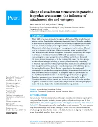 Shape of Attachment Structures in Parasitic Isopodan Crustaceans: the Inﬂuence of Attachment Site and Ontogeny