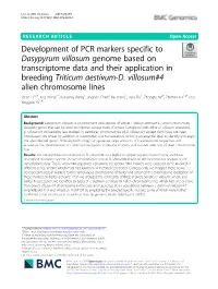 Development of PCR Markers Specific to Dasypyrum Villosum Genome Based on Transcriptome Data and Their Application in Breeding Triticum Aestivum-D