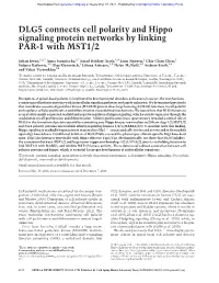 DLG5 Connects Cell Polarity and Hippo Signaling Protein Networks by Linking PAR-1 with MST1/2