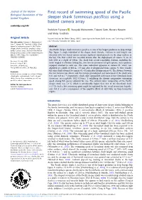 First Record of Swimming Speed of the Pacific Sleeper Shark Somniosus