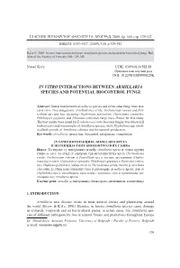 In Vitro Interactions Between Armillari a Specie S And