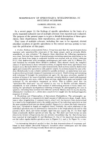 Morphology of Spirochaeta Myelophthora in Multiple Sclerosis