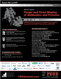 Phage and Yeast Display of Antibodies and Proteins