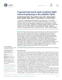 A Gonad-Expressed Opsin Mediates Light- Induced Spawning In