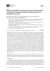 Kat2a and Kat2b Acetyltransferase Activity Regulates Craniofacial Cartilage and Bone Differentiation in Zebraﬁsh and Mice