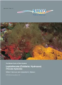 Leptothecata (Cnidaria: Hydrozoa)(Thecate Hydroids) Willem Vervoort and Jeanette E