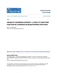 Origins of Isoprenoid Diversity: a Study of Structure-Function Relationships in Sesquiterpene Synthases" (2003)