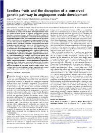 Seedless Fruits and the Disruption of a Conserved Genetic Pathway in Angiosperm Ovule Development