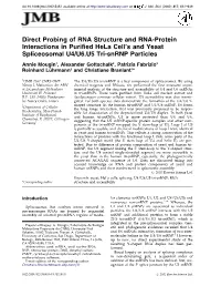 Direct Probing of RNA Structure and RNA-Protein Interactions in Purified Hela Cell&Apos;S and Yeast Spliceosomal U4/U6.U5