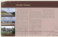 Executive Summary