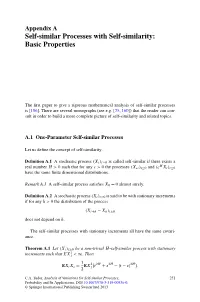 Self-Similar Processes with Self-Similarity: Basic Properties