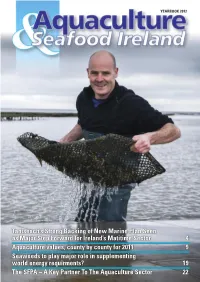 Taoiseach's Strong Backing of New Marine Plan Seen