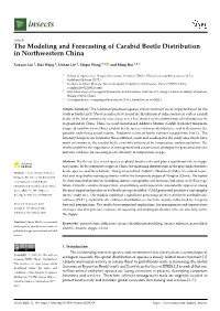 The Modeling and Forecasting of Carabid Beetle Distribution in Northwestern China
