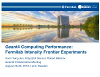 Geant4 Computing Performance: Fermilab Intensity Frontier Experiments