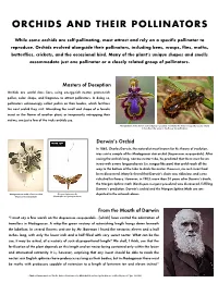 Orchids and Their Pollinators