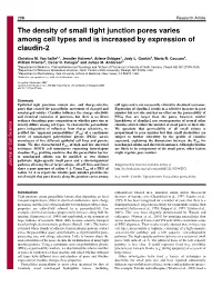 The Density of Small Tight Junction Pores Varies Among Cell Types and Is Increased by Expression of Claudin-2