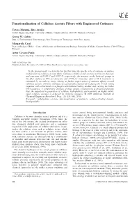 Functionalization of Cellulose Acetate Fibers with Engineered Cutinases